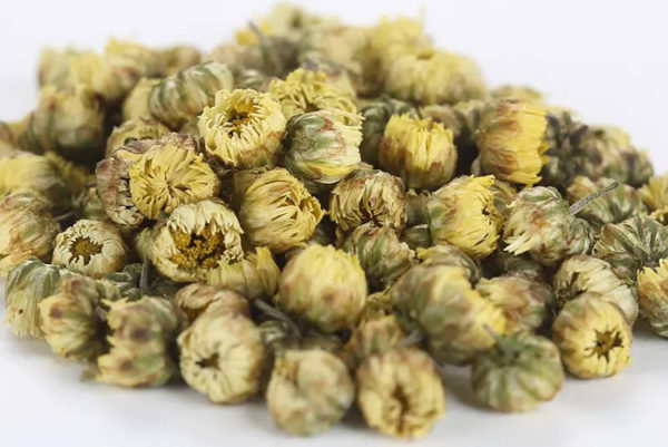 Chinese Healthy Herb Tea Ju-hua White Chrysanthemum Dud from Tongxiang ...